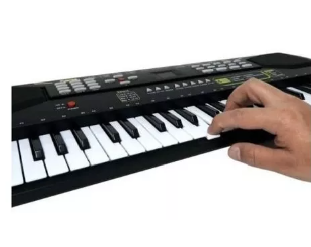 Organeta Niños 49 Teclas SD-4901A Micrófono 16 Tonos Ritmos Grabación