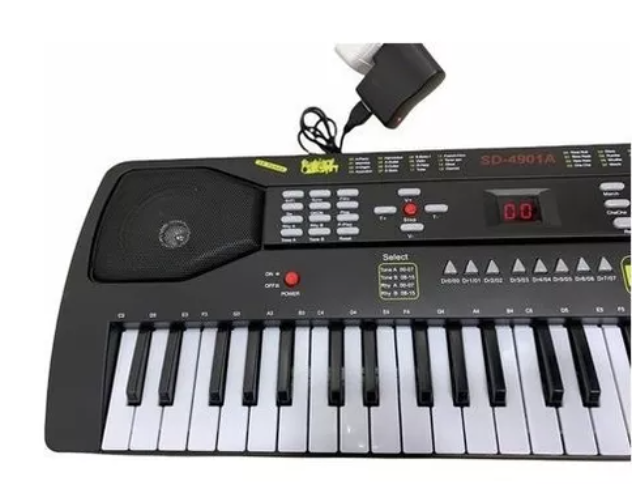 Organeta Niños 49 Teclas SD-4901A Micrófono 16 Tonos Ritmos Grabación