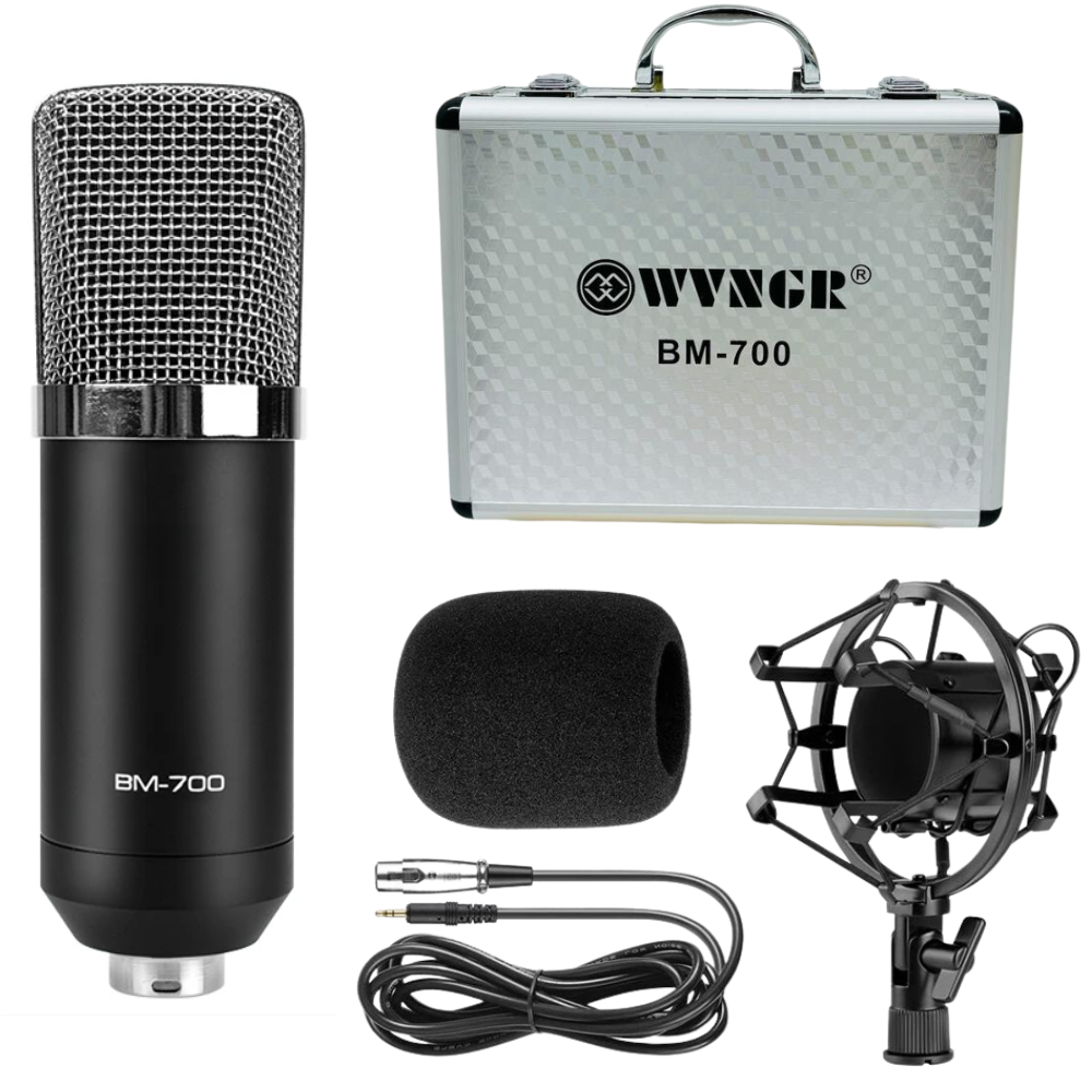 Micrófono Condensador Estudio BM700 Cardioide Filtro Pop Estuche Brazo