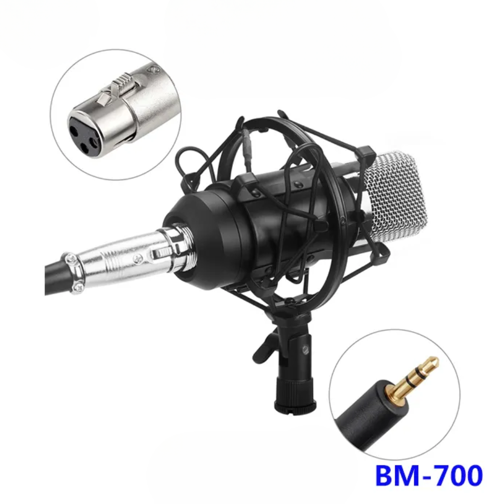Micrófono Condensador Estudio BM700 Cardioide Filtro Pop Estuche Brazo