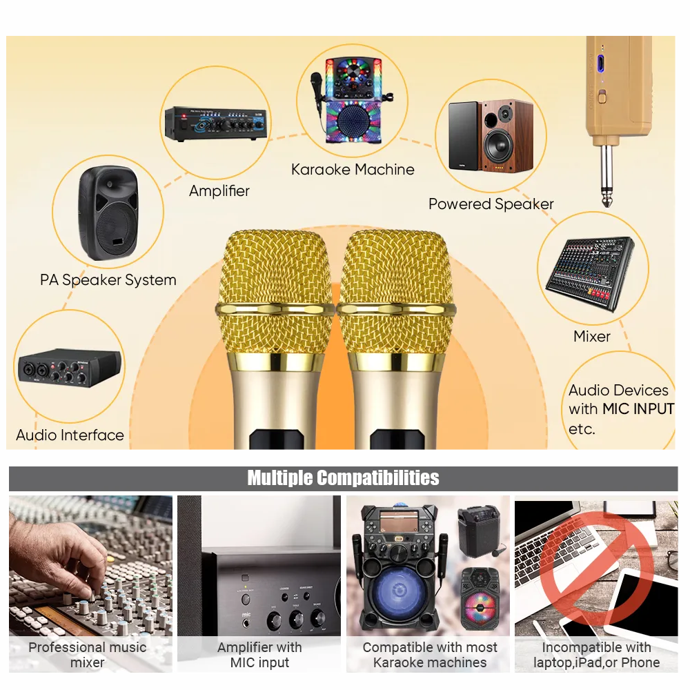 Micrófono Inalámbrico Profesional UHF WG-100 Receptor Karaoke 50m