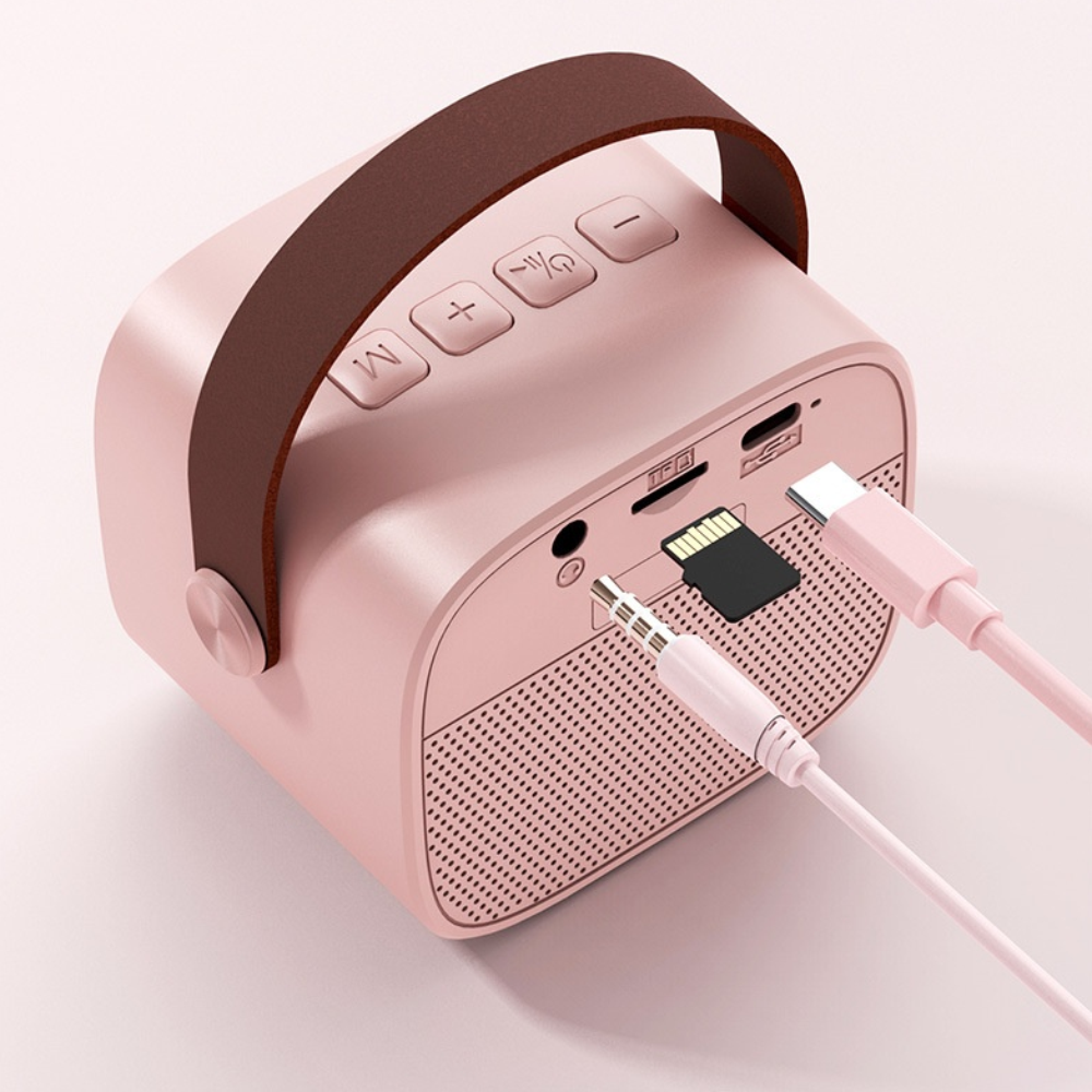 Parlante Karaoke Bluetooth AS202 Micrófono Inalámbrico Efectos Voz