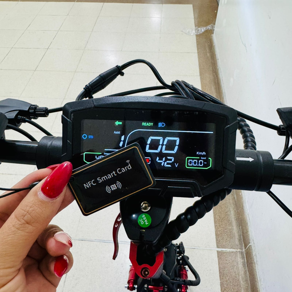 Scooter Eléctrico Doble Motor 1000W Mintoc Z06D 55km/h Suspensión